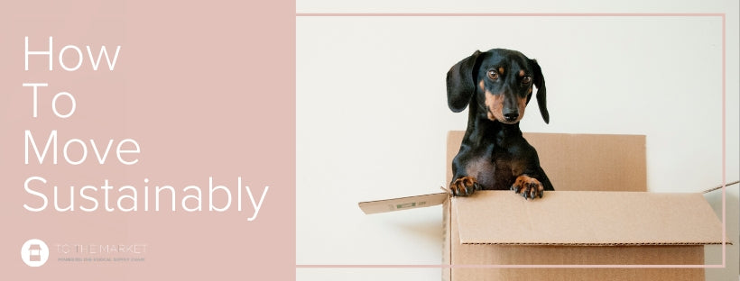 "How to Move Sustainably" with a small dog in a box peeking over the top at the camera