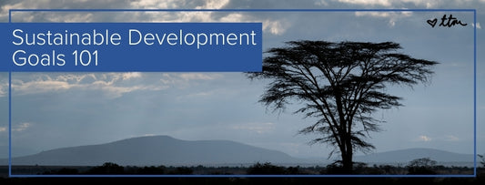 "Sustainable Development Goals 101" with a landscape of a tree in front of mountains in the background