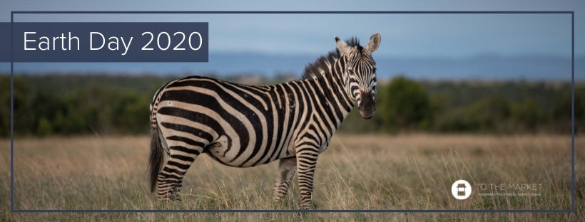 "Earth Day 2020" With a zebra standing in plains in background